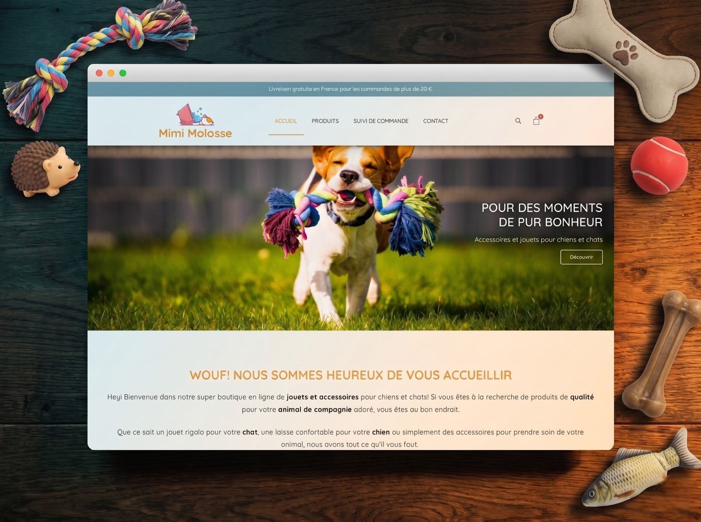 Homepage, Shopify Theme